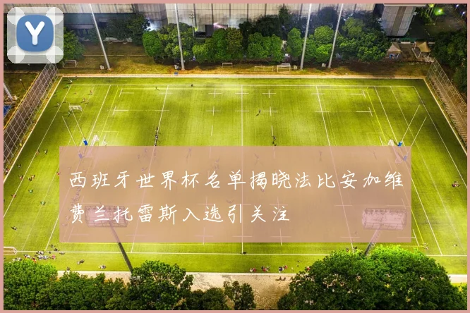 西班牙世界杯名单揭晓法比安加维费兰托雷斯入选引关注