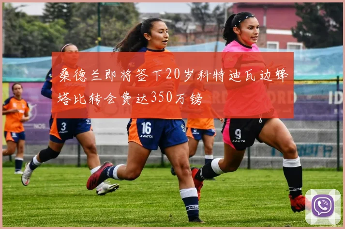 桑德兰即将签下20岁科特迪瓦边锋塔比转会费达350万镑