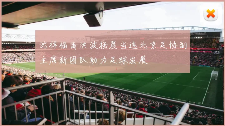沈祥福高洪波杨晨当选北京足协副主席新团队助力足球发展